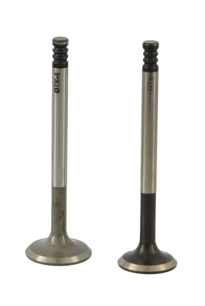 Клапана ВАЗ 2110-12 (комплект) АвтоВАЗ 21120100701085